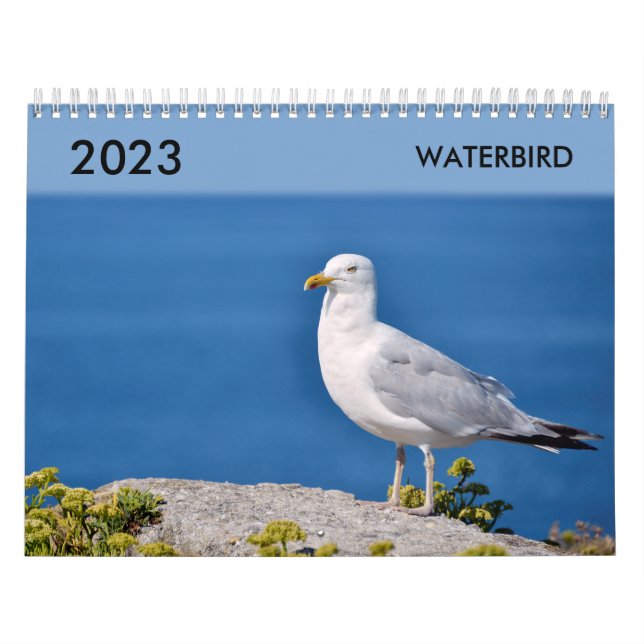 Verschiedener Wasservogelkalender Kalender (Titelbild)