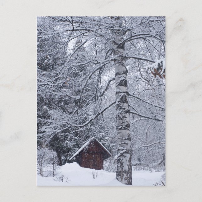 verschneite Landschaft Postkarte (Vorderseite)