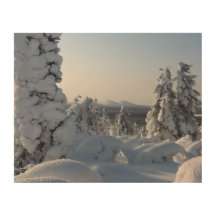 Verschneite Winterlandschaft mit Tannen