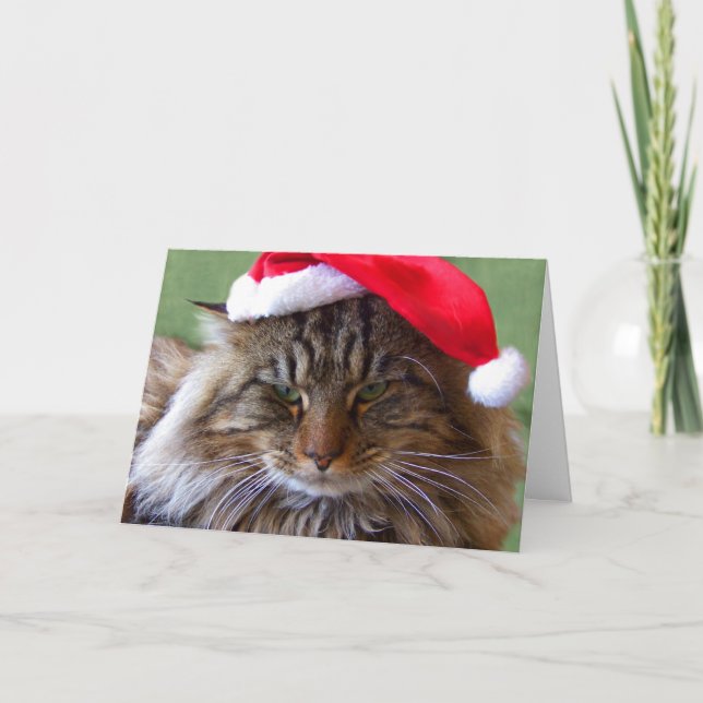 Verschrobe Weihnachtskatzen-Karte Feiertagskarte (Vorderseite)