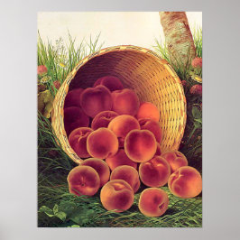 Verschüttete Pfirsiche Poster