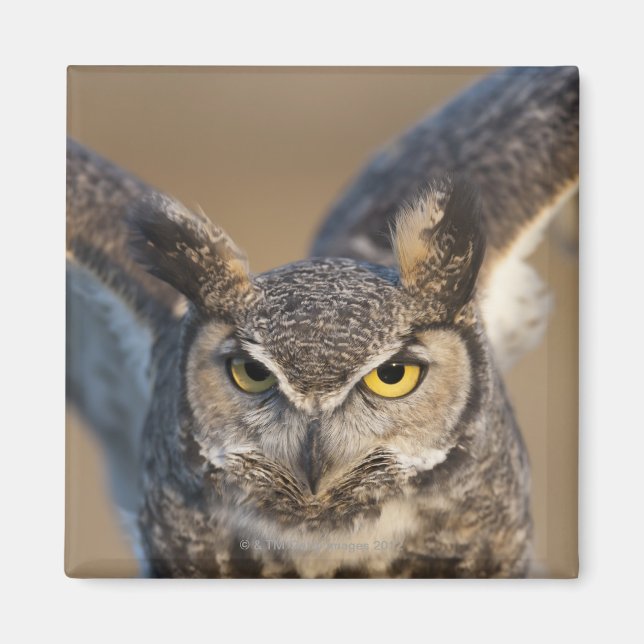 Verschwörung, USA 2 Magnet (Vorne)