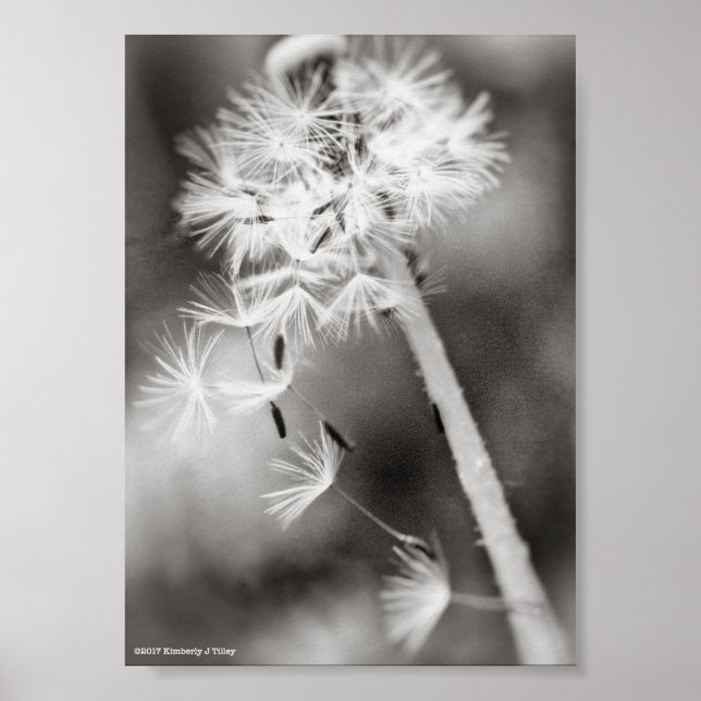 Versenden von Wünschen Poster (Vorne)