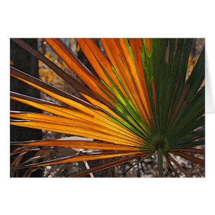 Versengter Palmetto