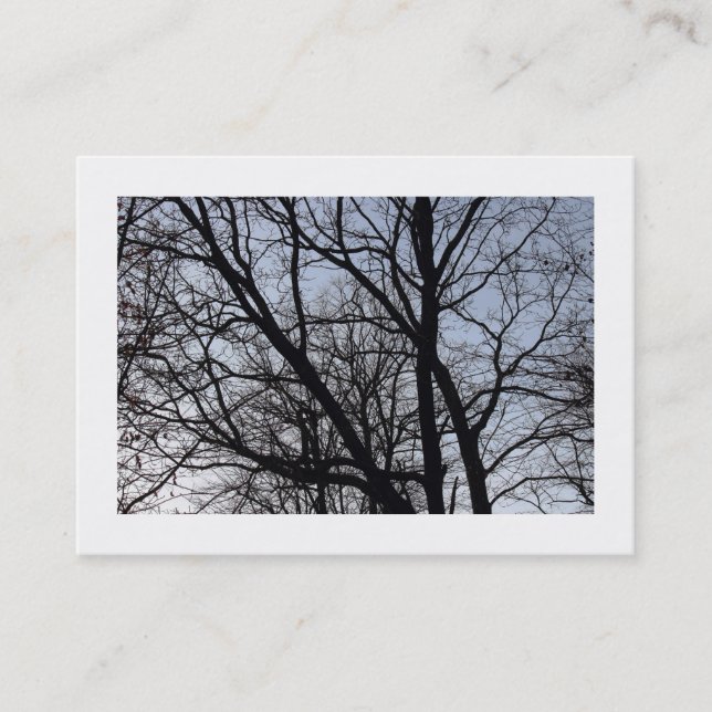 Versilberte Zweige Visitenkarte (Vorderseite)