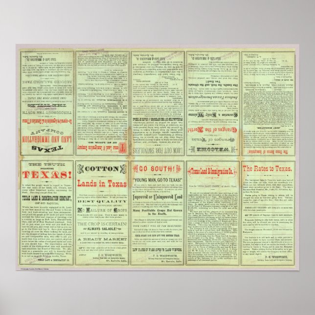 Verso Staat von Texas Poster (Vorne)