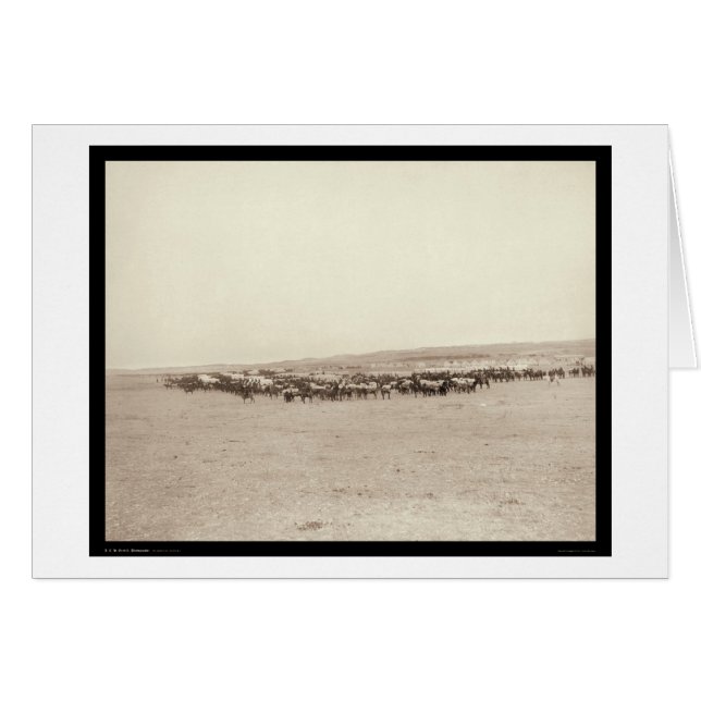 Versorgungs-Lastwagen u. Satz-Maultiere Sd 1887 (Vorderseite (Horizontal))