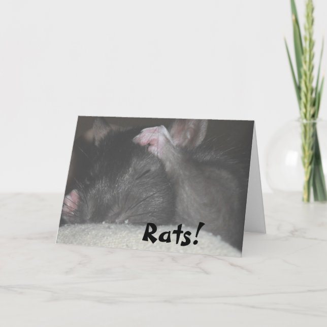 Verspätete Geburtstags-Karte Karte (Vorderseite)