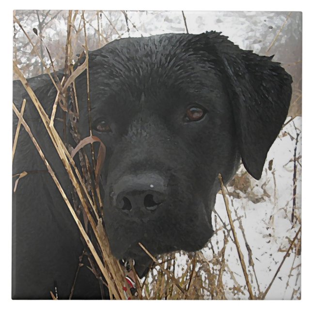 Verspätete Saisonjagd - Schwarzes Labor - Labrador Fliese (Vorderseite)
