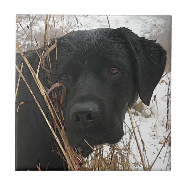 Verspätete Saisonjagd - Schwarzes Labor - Labrador Fliese (Vorderseite)