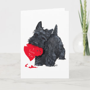 Verspielte Scottish Terrier Valentinstagskarte Feiertagskarte