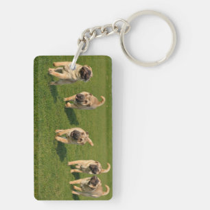 Verspielte Shar Pei Welpen Schlüsselanhänger