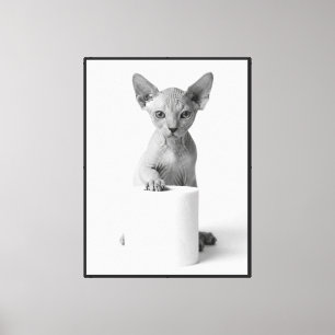 Verspielte Sphynx-Katze bewacht Toilettenpapier el Leinwanddruck