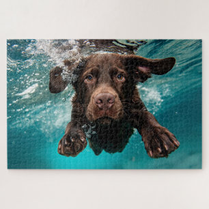 Verspielter Chocolate-Labrador schwimmt unter Wass