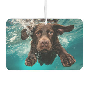 Verspielter Chocolate-Labrador schwimmt unter Wass Autolufterfrischer