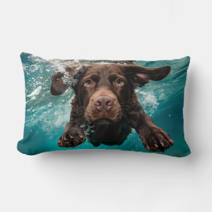 Verspielter Chocolate-Labrador schwimmt unter Wass Lendenkissen