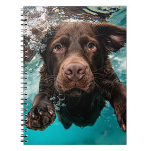Verspielter Chocolate-Labrador schwimmt unter Wass Notizblock