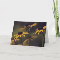 Versprechen 1 | Schwarzäugige Susans Fotografie Bl
