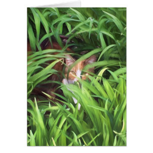versteckende Tabbykatze im Blätter