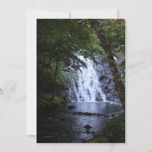 Versteckt durch die Bäume