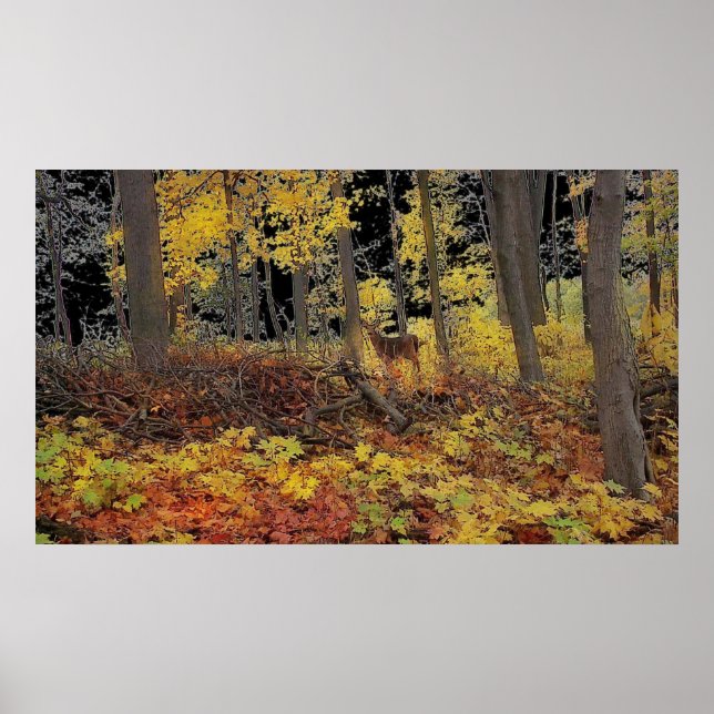 versteckt, Poster (Vorne)