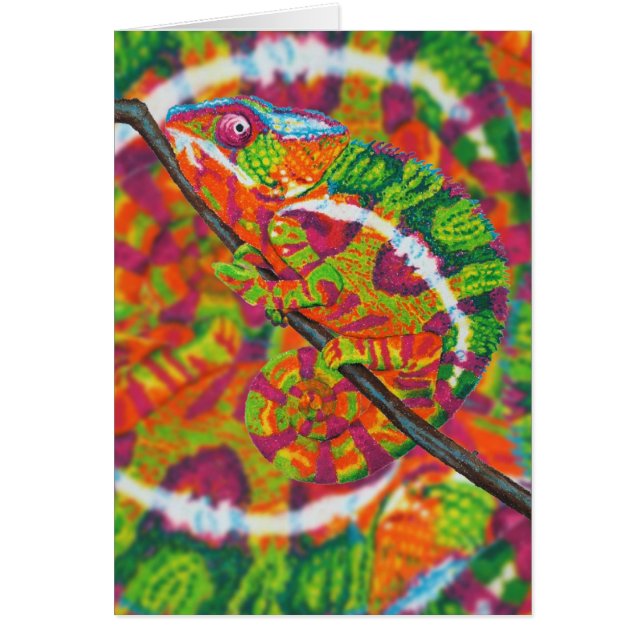 Versteckte Chamäleonkarte (Vorne)