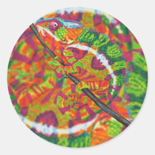 Versteckte Chameleon-Aufkleber Runder Aufkleber