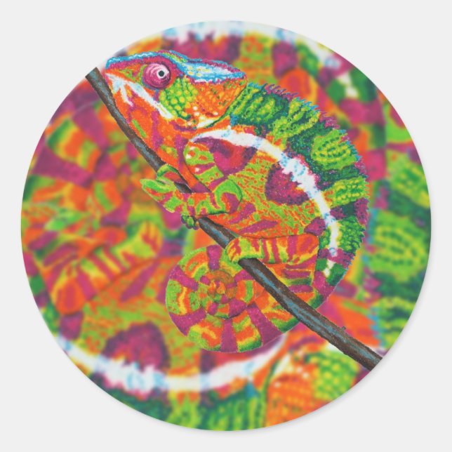 Versteckte Chameleon-Aufkleber Runder Aufkleber (Vorderseite)