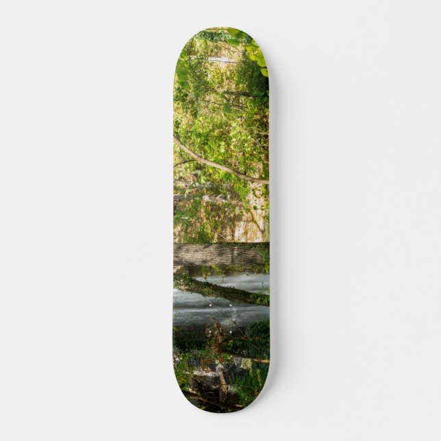 Versteckte Fälle Skateboard (Vorne)