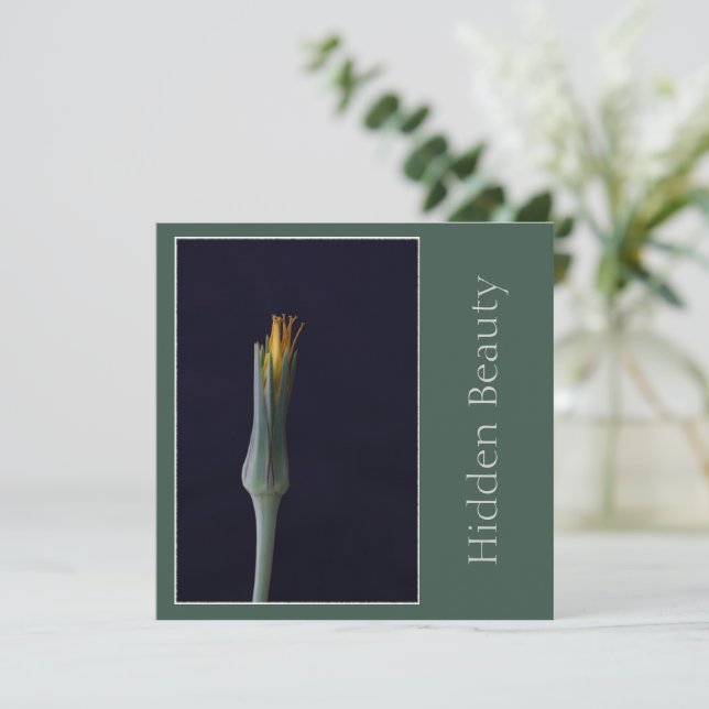 Versteckte Schönheit, elegante Blume des Single, G Karte (Stehend Vorderseite)