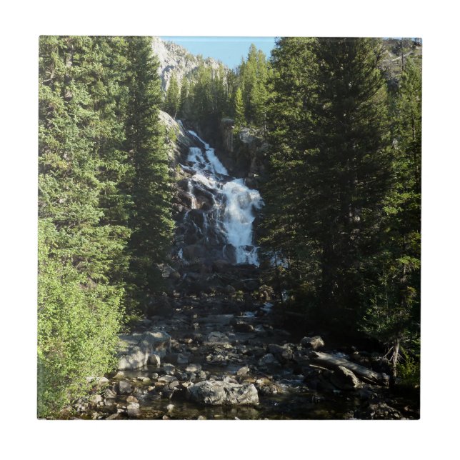 Versteckte Wasserfälle im Grand Teton Nationalpark Fliese (Vorderseite)