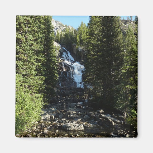 Versteckte Wasserfälle im Grand Teton Nationalpark Magnet (Vorne)