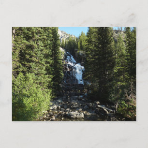Versteckte Wasserfälle im Grand Teton Nationalpark Postkarte