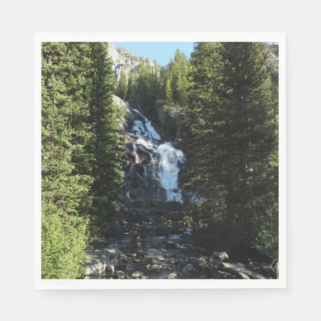 Versteckte Wasserfälle im Grand Teton Nationalpark Serviette (Vorderseite)