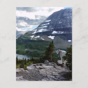 Versteckter See Blick Gletscher Nationalpark Monta Postkarte