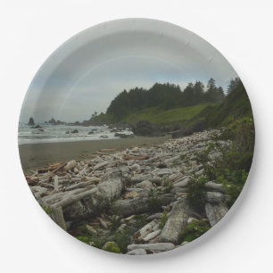 Versteckter Strand I im Redwood-Nationalpark Pappteller