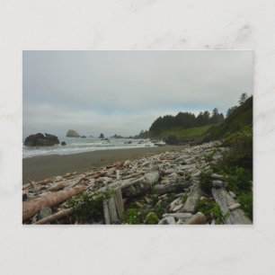 Versteckter Strand I im Redwood-Nationalpark Postkarte
