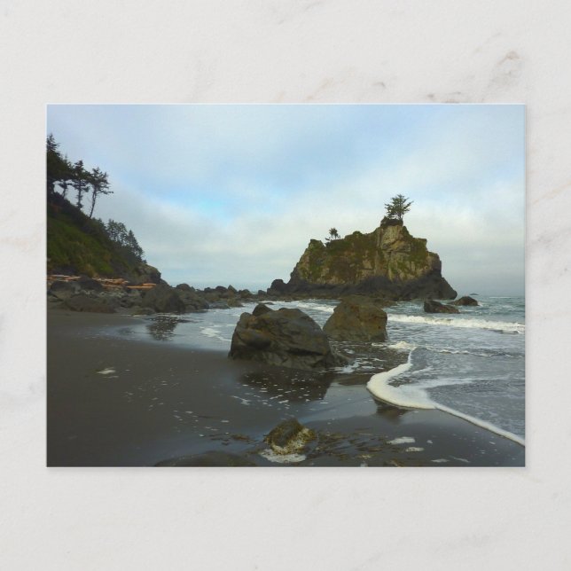 Versteckter Strand II im Redwood National Park Postkarte (Vorderseite)