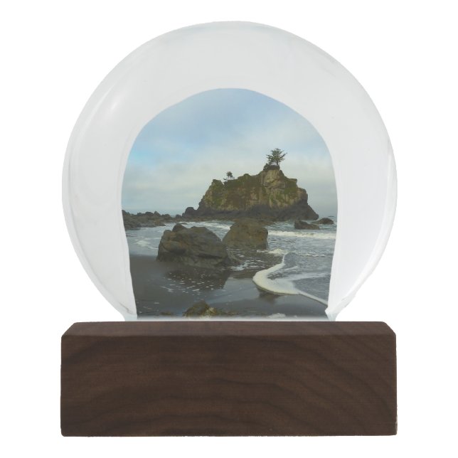 Versteckter Strand II im Redwood National Park Schneekugel (Vorderseite)