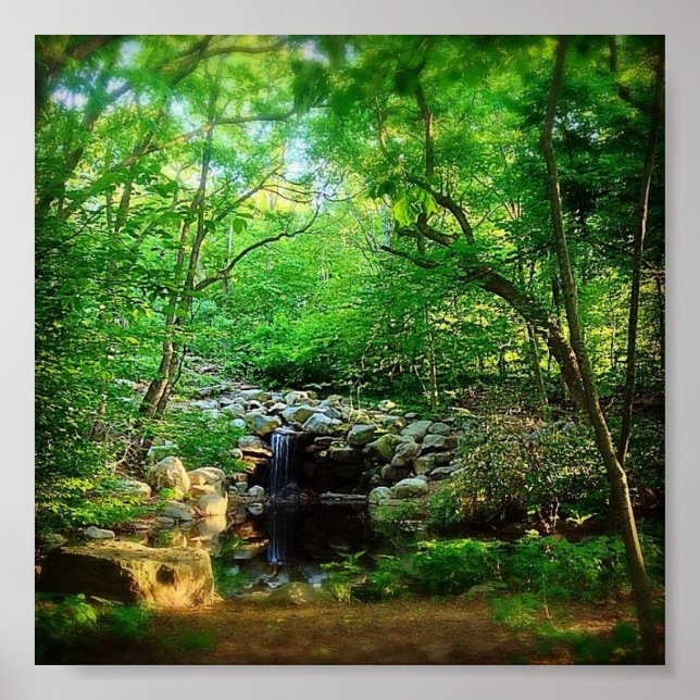 Versteckter Wasserfall Poster (Vorne)