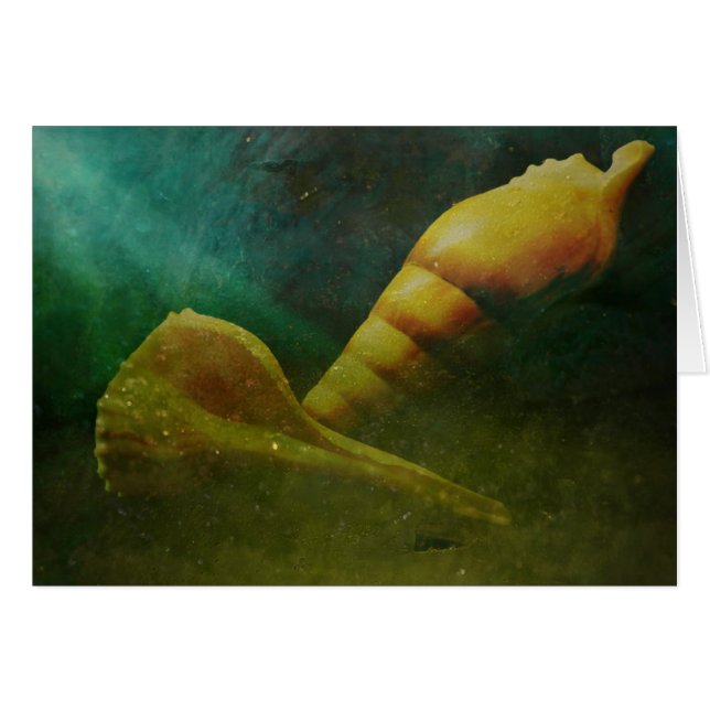 Verstecktes Soul unten (Vorderseite (Horizontal))