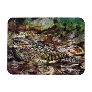 Verstecktes Whippoorwill Magnet