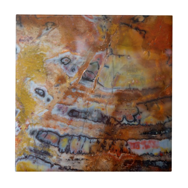 Versteinerte Holzbraun Fliese (Vorderseite)