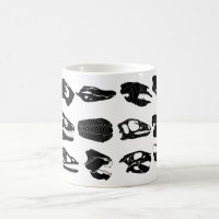 Versteinerte Schädel-Tasse