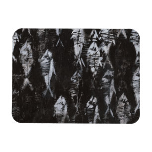 Versteinerte weiße Fische auf schwarzem Magnet