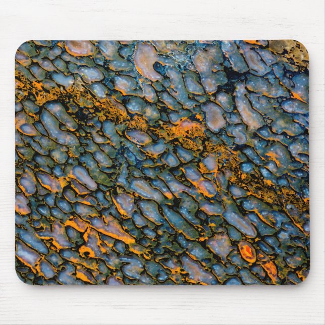 Versteinerter Dinosaurier-Knochen Mousepad (Vorne)