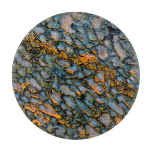 Versteinerter Dinosaurier-Knochen Schneidebrett