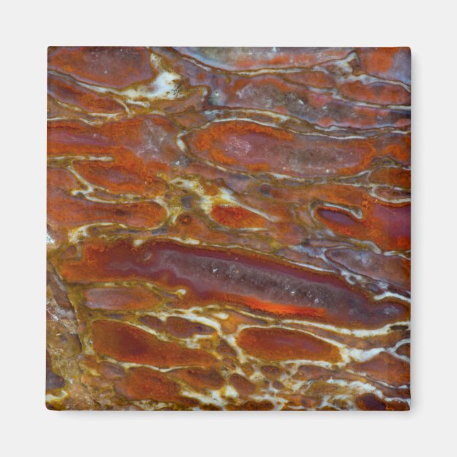 Versteinerter Dinosaurierknochen Magnet (Vorne)