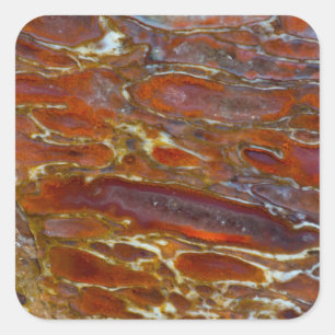 Versteinerter Dinosaurierknochen Quadratischer Aufkleber