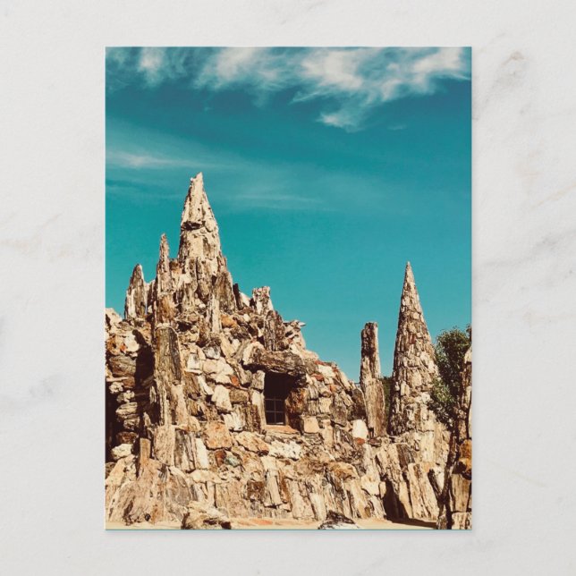 versteinerter Holzpark Postkarte (Vorderseite)